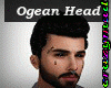 RL Ogean Head