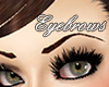 (JSZ)Brunette Eyebrows