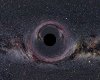 Black Hole Portal