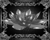 silvery lotus