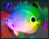 Neon Fish