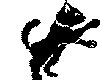 (SW)black cat