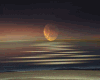 Night Beach