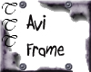 TTT Screws Avi Frame