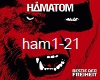 Hamatom Feat Hansi Kursc