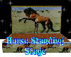 Horse stand stage