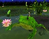 Skys Frog over Moon Lake