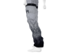 Amir V2
