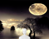 Matth MoonBackground
