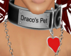 Draco's Pet Collor V2