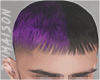 Purple & Black Hair