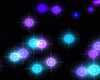 Stars Light Bundle