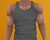 Gray Tank Top 2 (M)