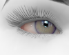 Light Eyes