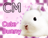 CM - Cute Bunny