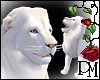 [PBM] White Lion Pet