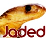 JD Indian Cobra Small