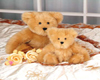 teddy bear toddler bed