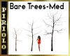 Bare Tree-MED