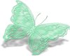 green butterfly sticker