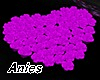 *A* Purple Rose Heart