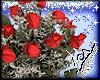 Frosted Red Roses