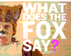 What FOX Say GROUP Dance
