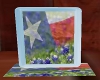 Texas Animated Frame