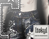 T. essays on chaos XIV