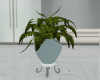 ::Kay:: Clinic Plant