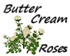 Butter Cream Roses