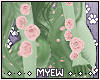 ✩ Nopal Flowers