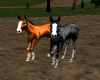 (SR) ANIMATED HORSES 2