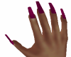 Rose Long Fingernails