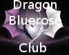 Dragon, Bluerose club