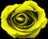 Yellow Rose Necklace