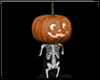 ∘ Jack o Lantern Pet