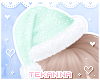 [T] Santa hat Mint