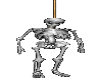 Hanging Skeleton..