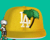 YELLOW LA FITTED