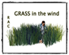 Grass in the wind