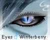 [c4z] M Eyes Winterberry