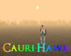 Autumn Field 6