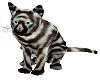 feral animated stripecat