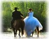 Cowboy wedding pic