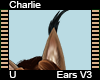 Charlie Ears V3