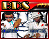 (BDS)-ICRemix&BDS