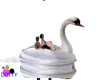 swan paddle boat