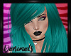 !DM |Raine - Teal|