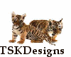 TSK-Tiger Cubs T Male